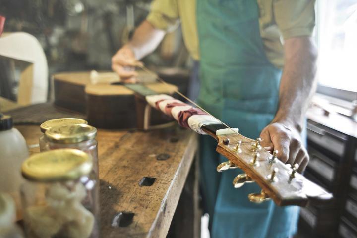 Luthier La Celle-Saint-Cloud