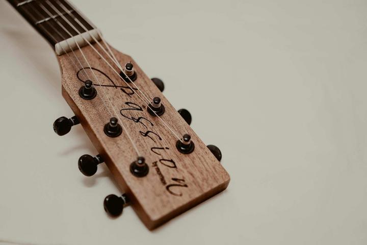 Manche de guitare La Celle-Saint-Cloud